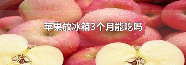 苹果放冰箱3个月能吃吗