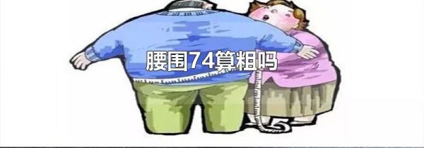 腰围74算粗吗