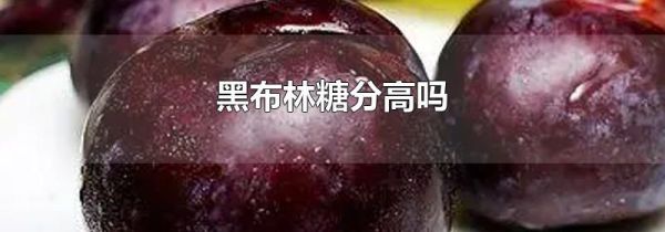 黑布林糖分高吗