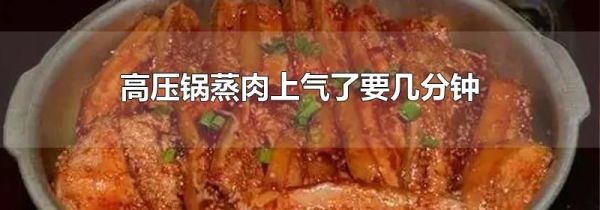 高压锅蒸肉上气了要几分钟