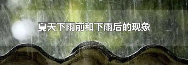 夏天下雨前和下雨后的现象