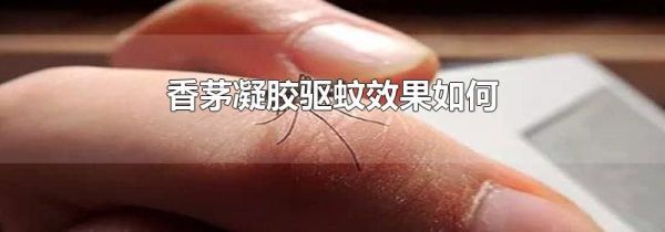 香茅凝胶驱蚊效果如何