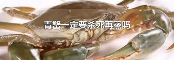 青蟹一定要杀死再蒸吗