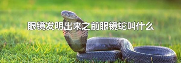 眼镜发明出来之前眼镜蛇叫什么