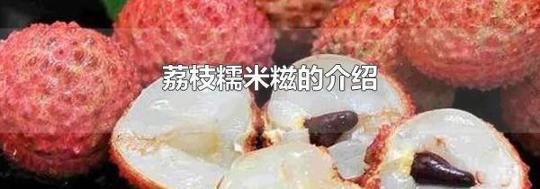 荔枝糯米糍的介绍