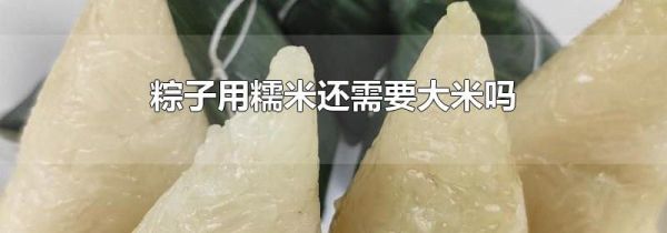 粽子用糯米还需要大米吗