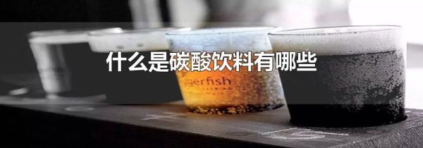 什么是碳酸饮料有哪些