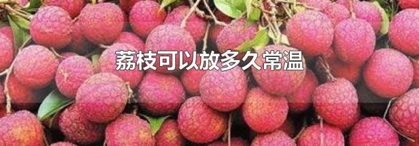 荔枝可以放多久常温