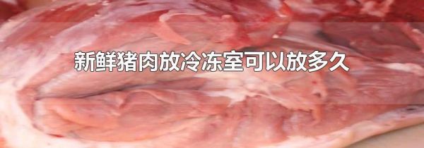 新鲜猪肉放冷冻室可以放多久