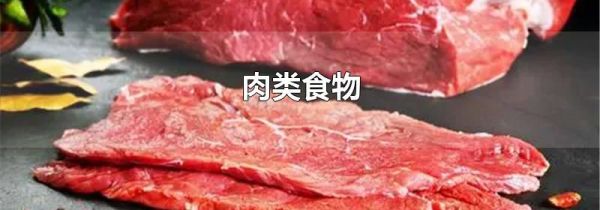 肉类食物