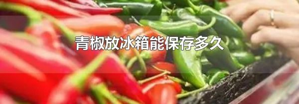 青椒放冰箱能保存多久