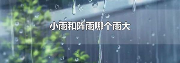 小雨和阵雨哪个雨大