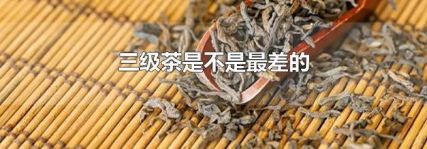 三级茶是不是最差的