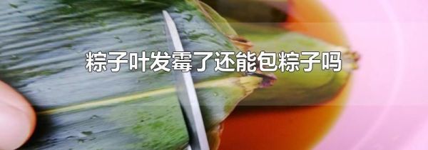 粽子叶发霉了还能包粽子吗