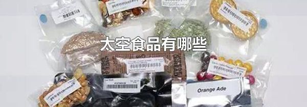 太空食品有哪些