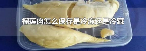 榴莲肉怎么保存是冷冻还是冷藏