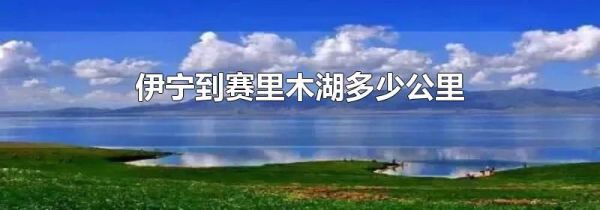 伊宁到赛里木湖多少公里