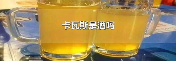 卡瓦斯是酒吗