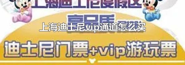 上海迪士尼vip通道怎么买