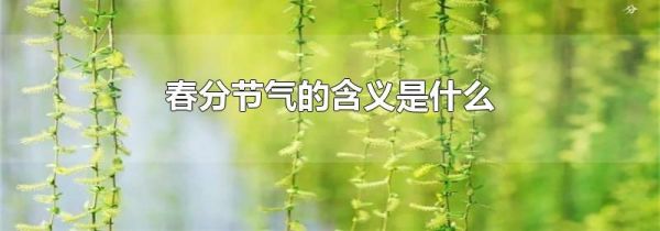 春分节气的含义是什么