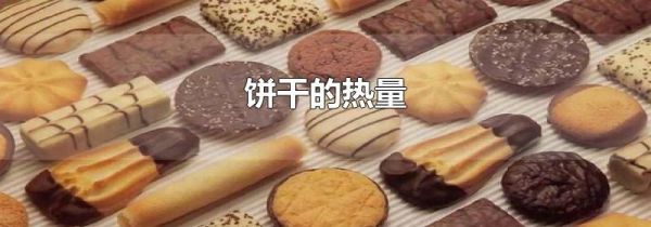 饼干的热量