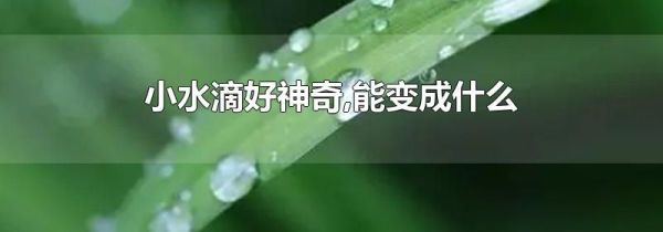 小水滴好神奇,能变成什么