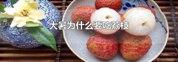 大暑为什么要吃荔枝