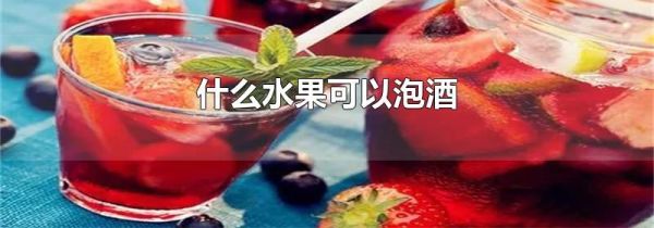 什么水果可以泡酒