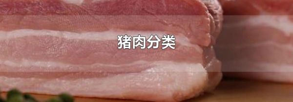 猪肉分类