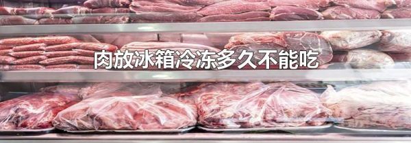 肉放冰箱冷冻多久不能吃