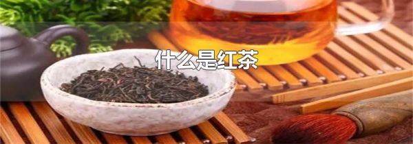 什么是红茶