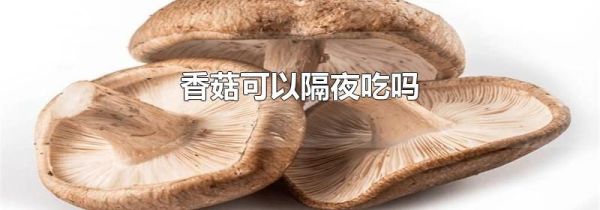 香菇可以隔夜吃吗