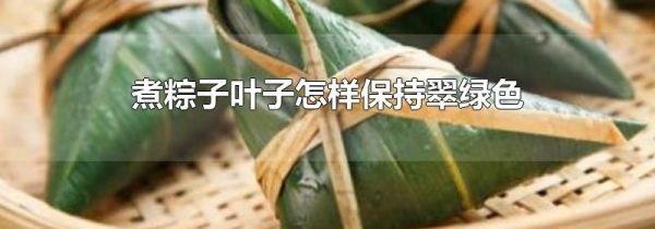 煮粽子叶子怎样保持翠绿色