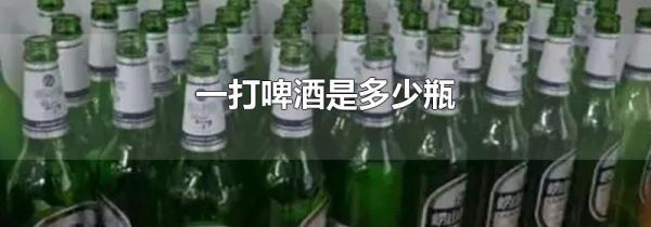 一打啤酒是多少瓶