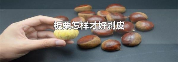 板栗怎样才好剥皮