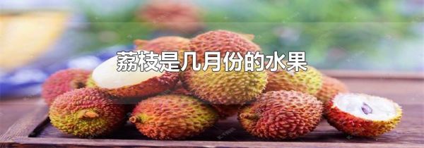 荔枝是几月份的水果