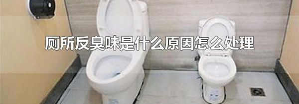 厕所反臭味是什么原因怎么处理