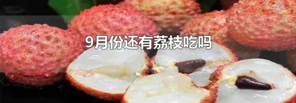 9月份还有荔枝吃吗