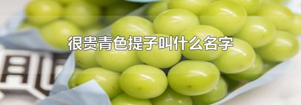 很贵青色提子叫什么名字