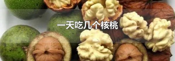 一天吃几个核桃