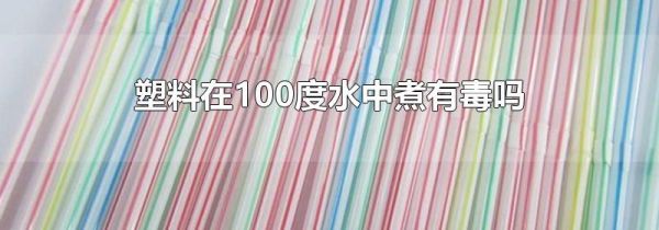 塑料在100度水中煮有毒吗