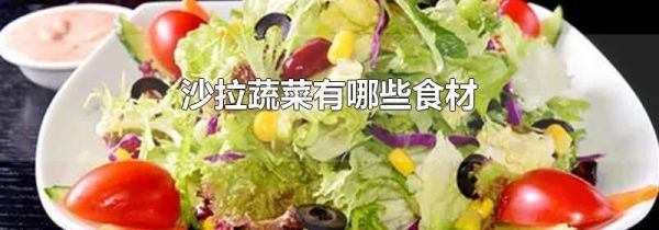 沙拉蔬菜有哪些食材