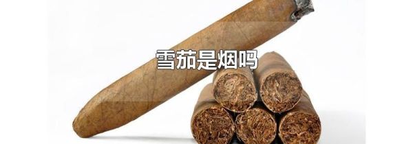 雪茄是烟吗