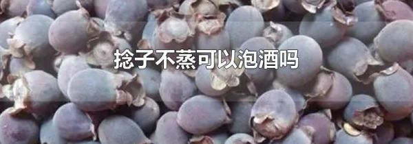 捻子不蒸可以泡酒吗