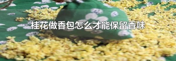 桂花做香包怎么才能保留香味