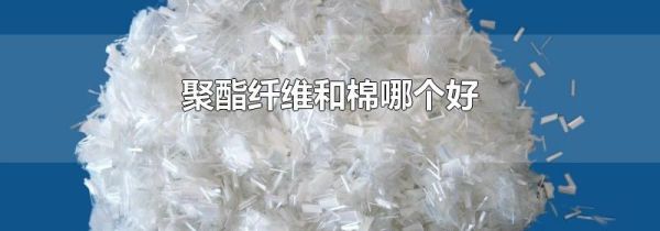 聚酯纤维和棉哪个好