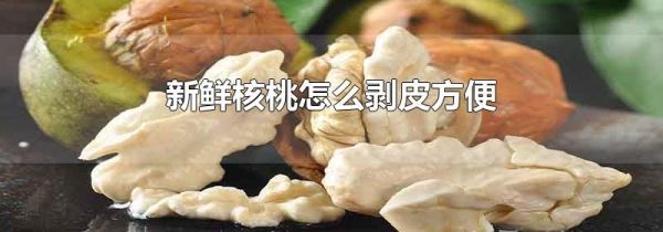 新鲜核桃怎么剥皮方便