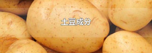 土豆成分