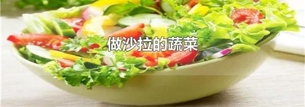 做沙拉的蔬菜