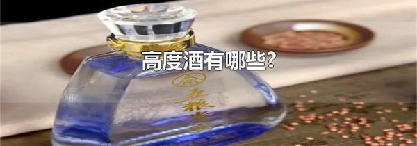 高度酒有哪些?